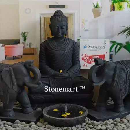 Why the Presence of the Buddha in Various Mudras is Important for Hospitals? Part 2